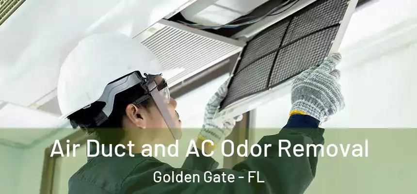 Air Duct and AC Odor Removal Golden Gate - FL