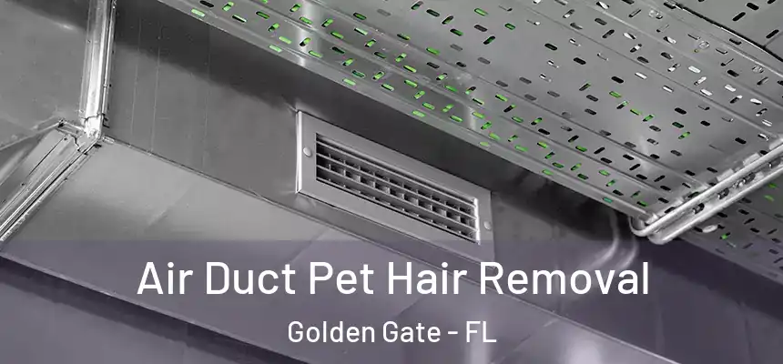 Air Duct Pet Hair Removal Golden Gate - FL