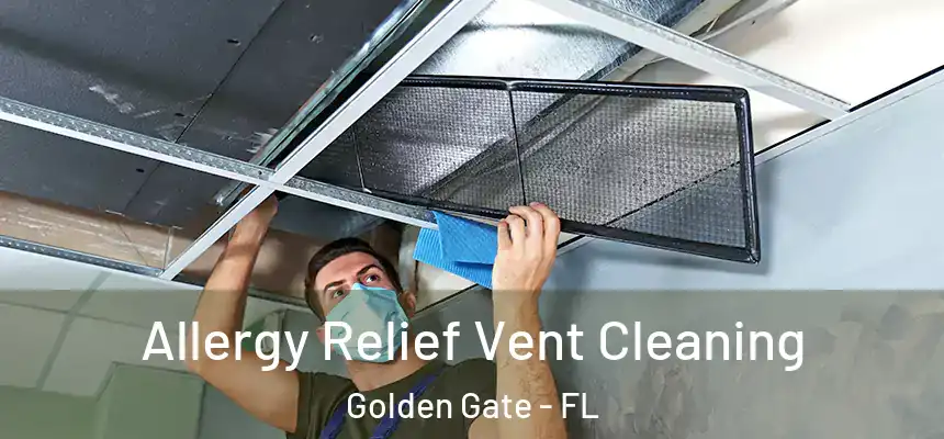 Allergy Relief Vent Cleaning Golden Gate - FL
