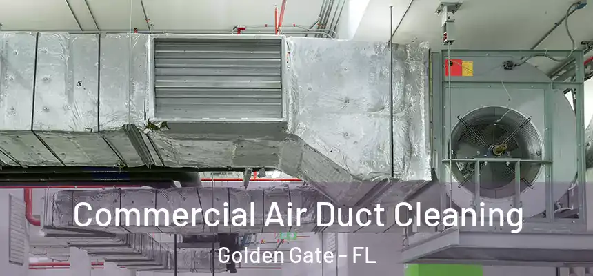 Commercial Air Duct Cleaning Golden Gate - FL