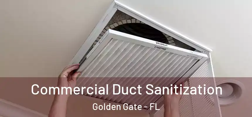 Commercial Duct Sanitization Golden Gate - FL