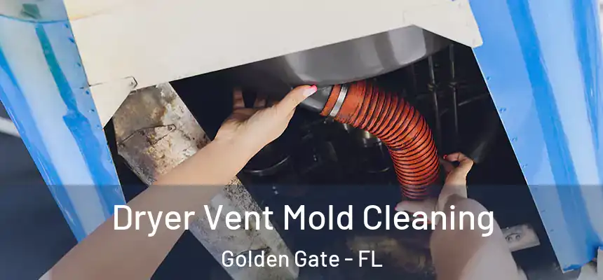 Dryer Vent Mold Cleaning Golden Gate - FL