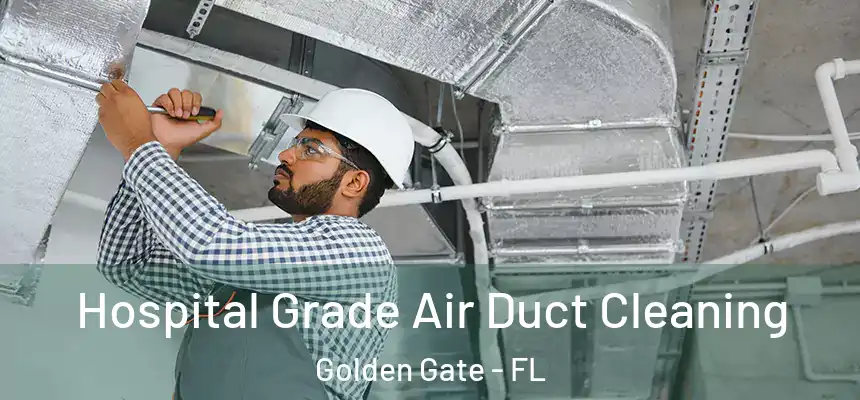 Hospital Grade Air Duct Cleaning Golden Gate - FL