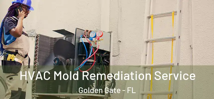 HVAC Mold Remediation Service Golden Gate - FL