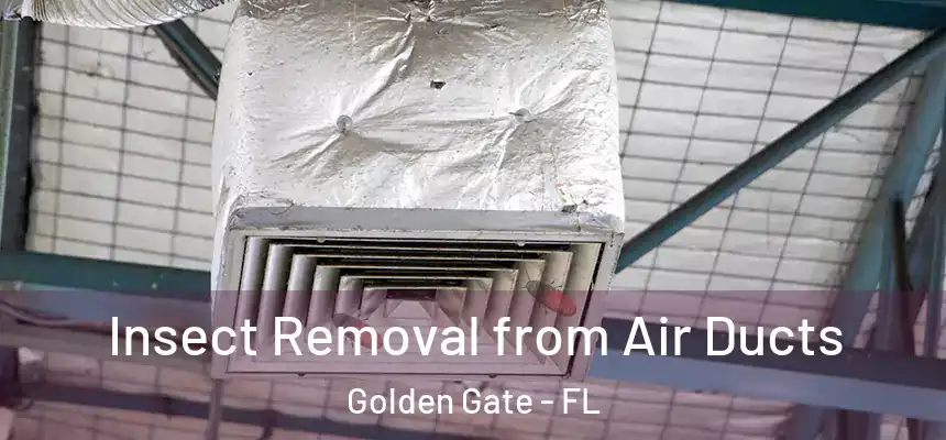 Insect Removal from Air Ducts Golden Gate - FL