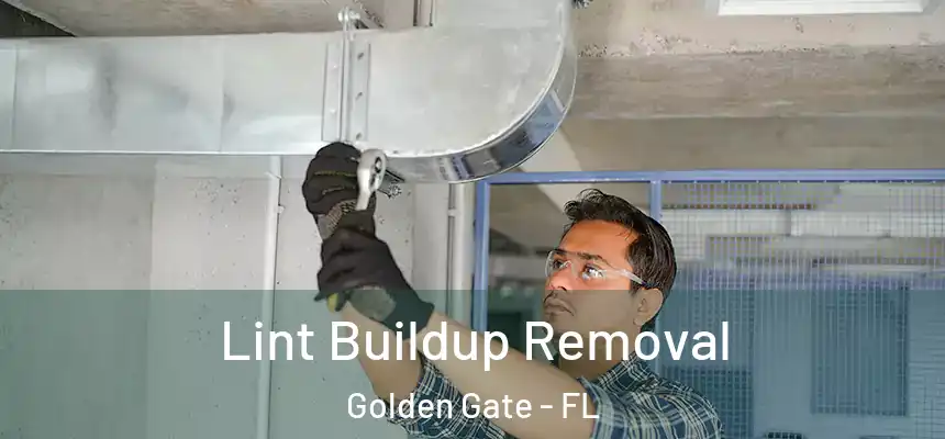 Lint Buildup Removal Golden Gate - FL